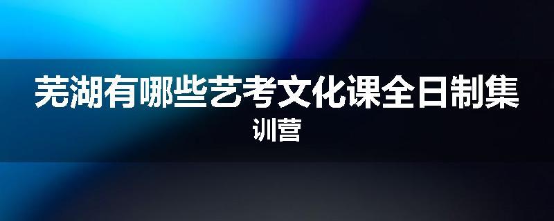 芜湖有哪些艺考文化课全日制集训营