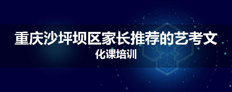 重庆沙坪坝区家长推荐的艺考文化课培训