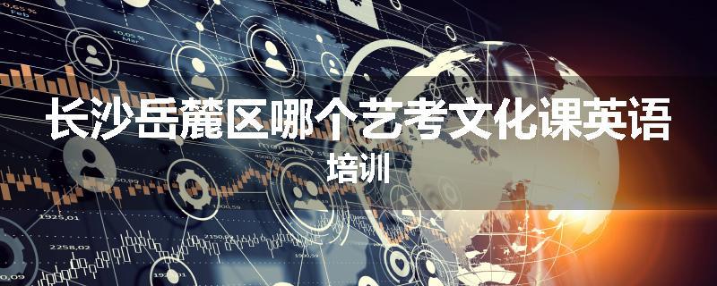 长沙岳麓区哪个艺考文化课英语培训