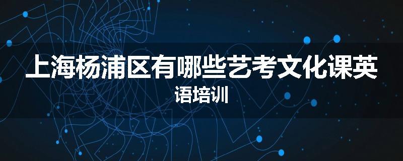 上海杨浦区有哪些艺考文化课英语培训