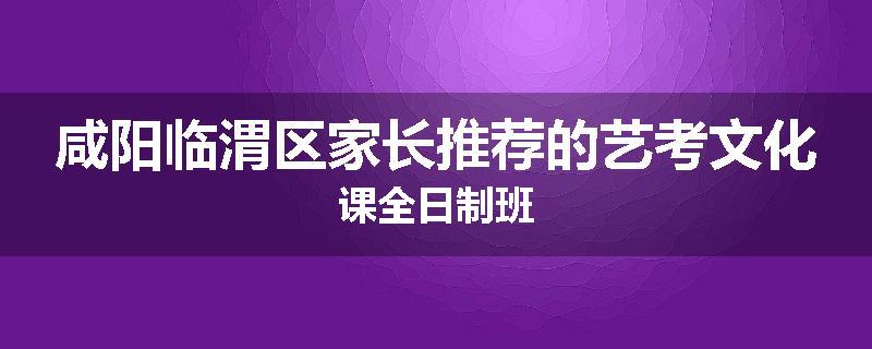 咸阳临渭区家长推荐的艺考文化课全日制班
