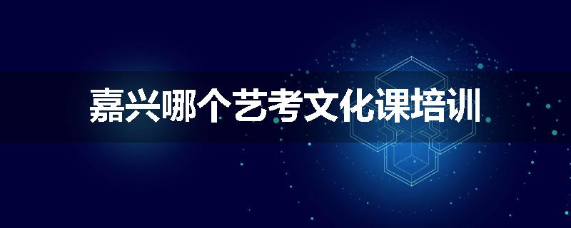 嘉兴哪个艺考文化课培训