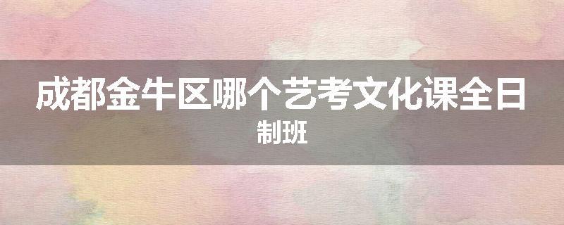 成都金牛区哪个艺考文化课全日制班