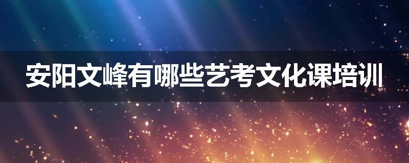 安阳文峰有哪些艺考文化课培训