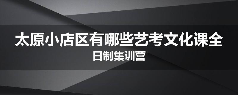 太原小店区有哪些艺考文化课全日制集训营