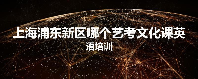 上海浦东新区哪个艺考文化课英语培训
