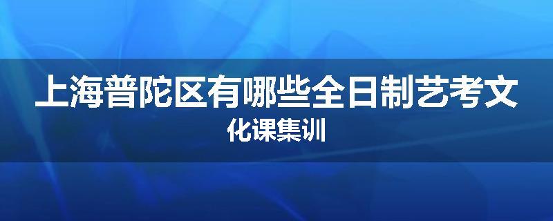 上海普陀区有哪些全日制艺考文化课集训