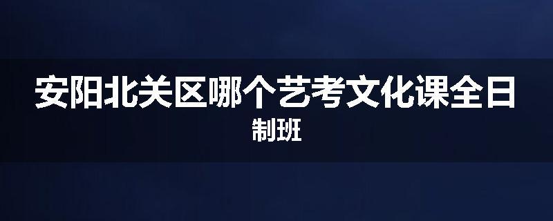 安阳北关区哪个艺考文化课全日制班
