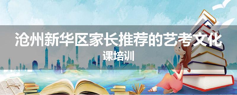沧州新华区家长推荐的艺考文化课培训