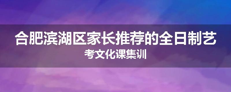 合肥滨湖区家长推荐的全日制艺考文化课集训