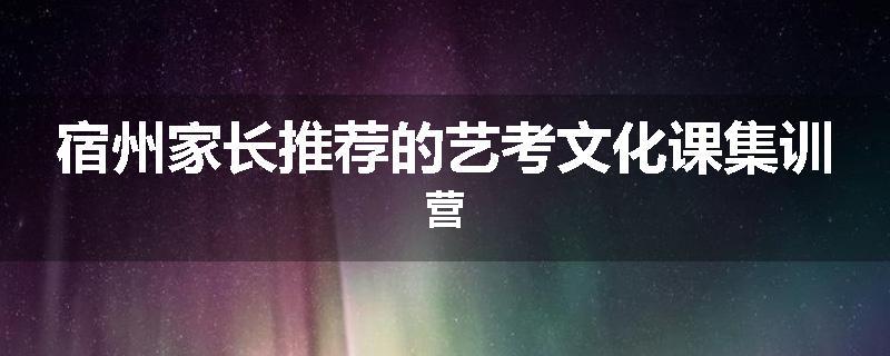 宿州家长推荐的艺考文化课集训营