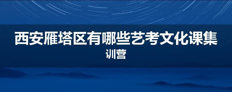 西安雁塔区有哪些艺考文化课集训营