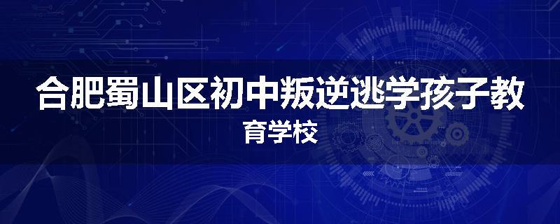 合肥蜀山区初中叛逆逃学孩子教育学校