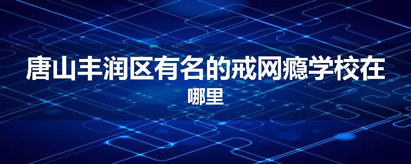 唐山丰润区有名的戒网瘾学校在哪里