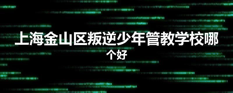 上海金山区叛逆少年管教学校哪个好