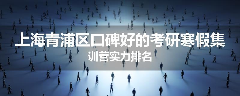 上海青浦区口碑好的考研寒假集训营实力排名
