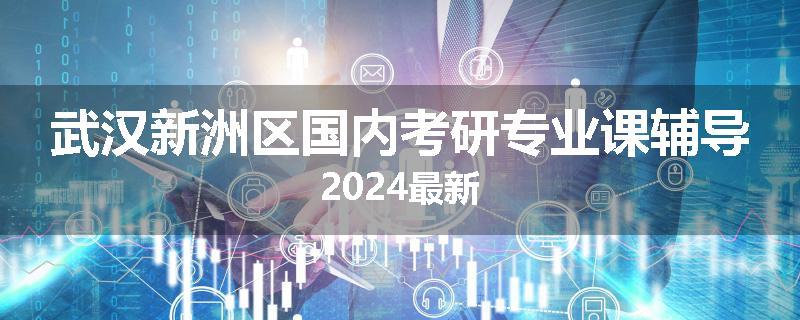 武汉新洲区国内考研专业课辅导2024最新