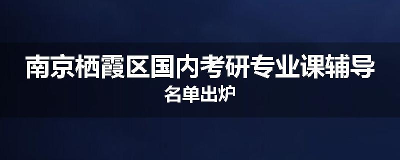 南京栖霞区国内考研专业课辅导名单出炉