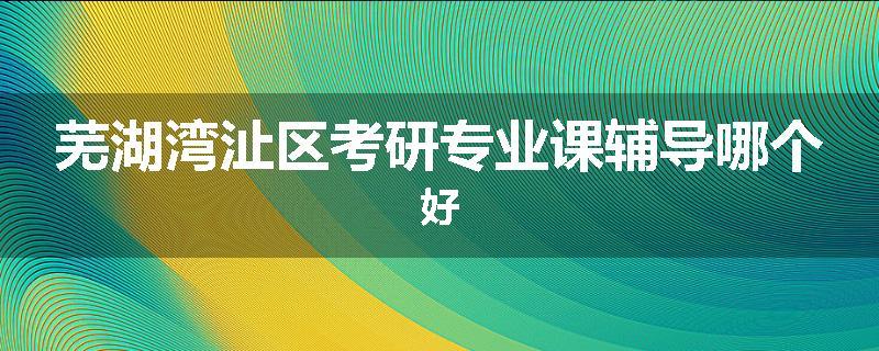 芜湖湾沚区考研专业课辅导哪个好