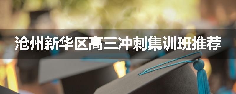 沧州新华区高三冲刺集训班推荐