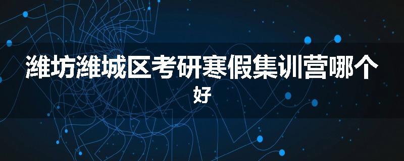 潍坊潍城区考研寒假集训营哪个好