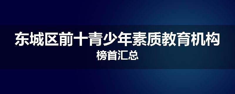 东城区前十青少年素质教育机构榜首汇总