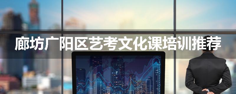 廊坊广阳区艺考文化课培训推荐