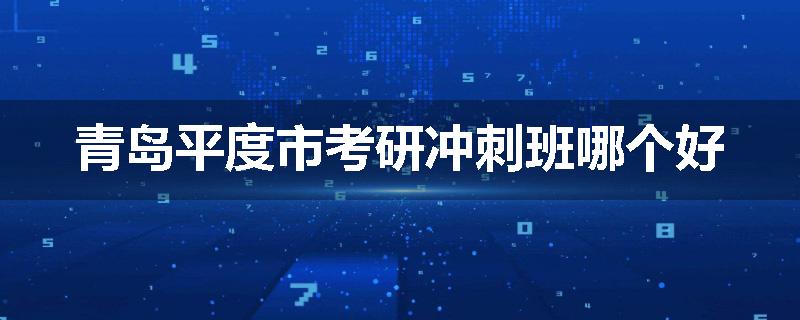 青岛平度市考研冲刺班哪个好