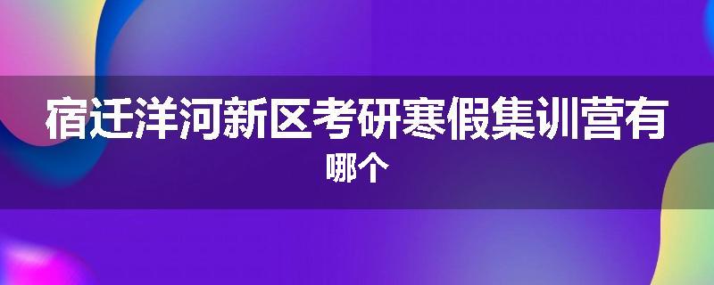 宿迁洋河新区考研寒假集训营有哪个