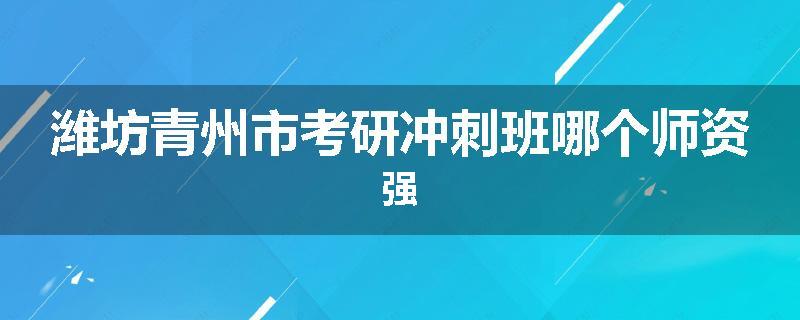 潍坊青州市考研冲刺班哪个师资强