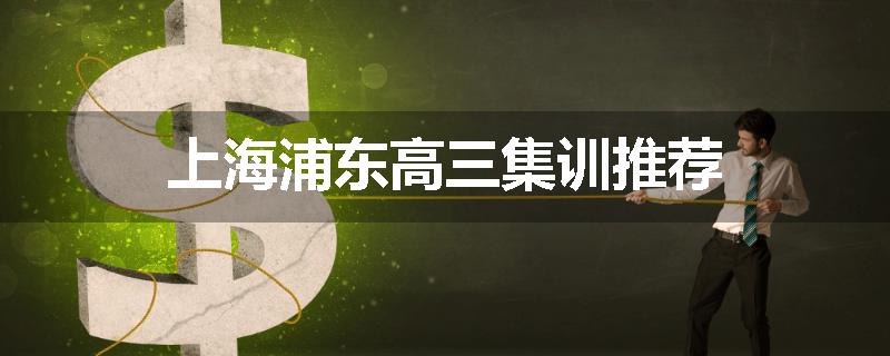 上海浦东高三集训推荐