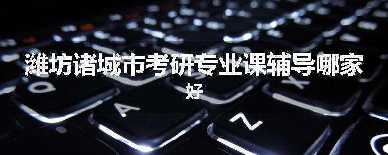潍坊诸城市考研专业课辅导哪家好
