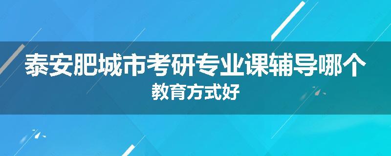 泰安肥城市考研专业课辅导哪个教育方式好
