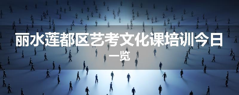 丽水莲都区艺考文化课培训今日一览