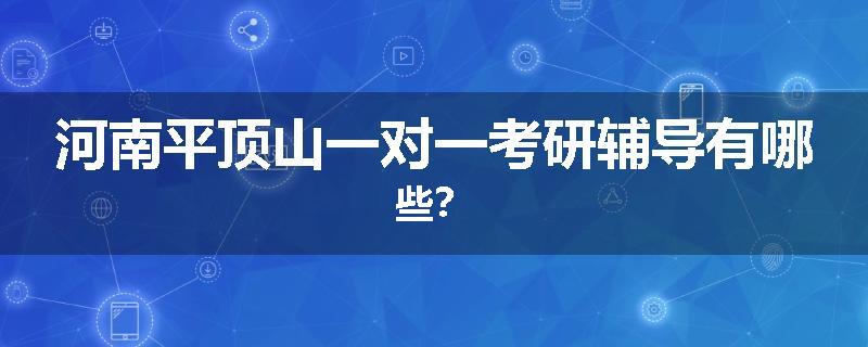 河南平顶山一对一考研辅导有哪些？
