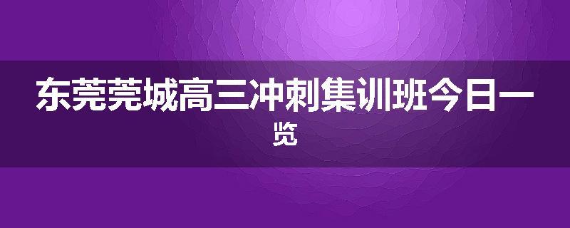 东莞莞城高三冲刺集训班今日一览