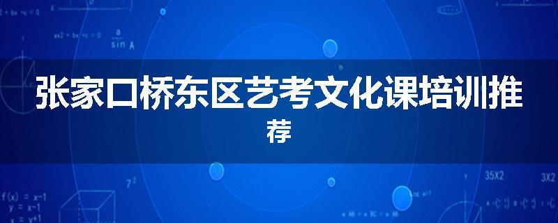 张家口桥东区艺考文化课培训推荐