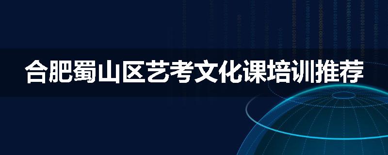 合肥蜀山区艺考文化课培训推荐