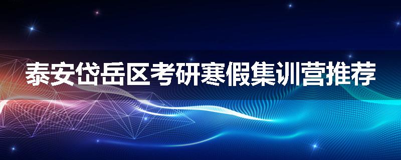 泰安岱岳区考研寒假集训营推荐