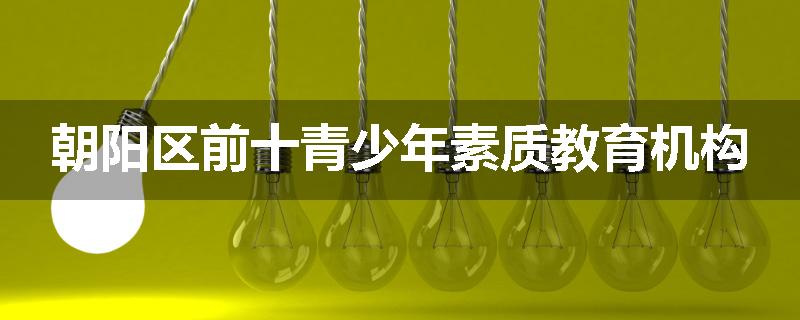 朝阳区前十青少年素质教育机构