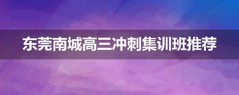 东莞南城高三冲刺集训班推荐