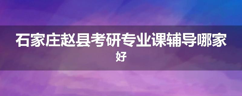 石家庄赵县考研专业课辅导哪家好