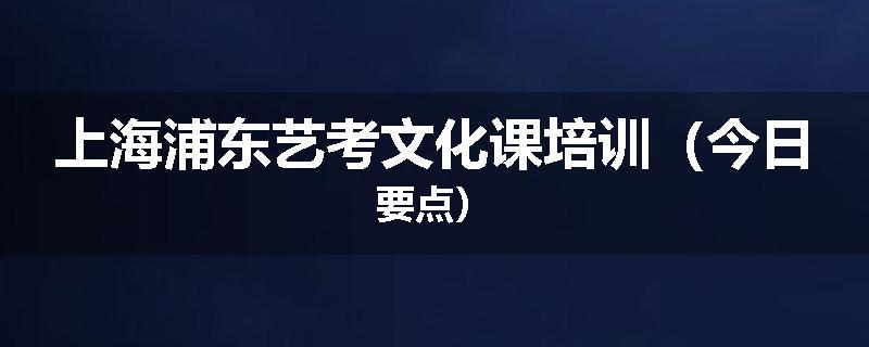 上海浦东艺考文化课培训（今日要点）