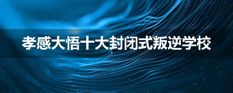 孝感大悟十大封闭式叛逆学校