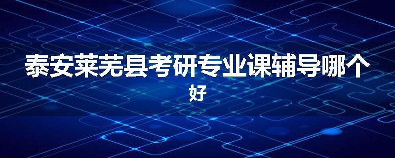 泰安莱芜县考研专业课辅导哪个好