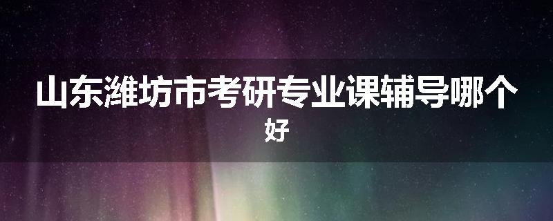山东潍坊市考研专业课辅导哪个好