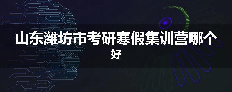 山东潍坊市考研寒假集训营哪个好