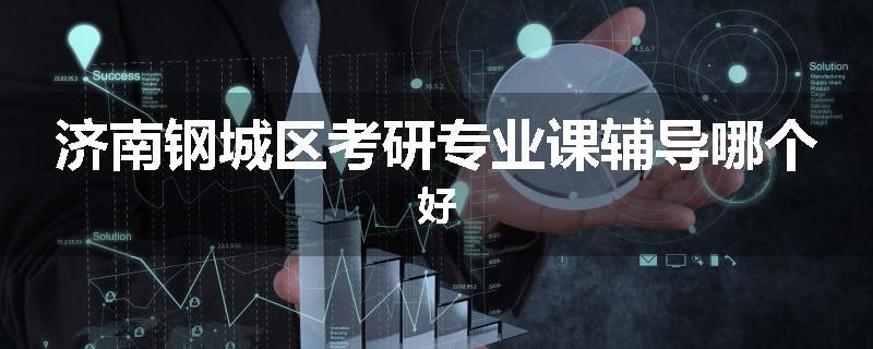 济南钢城区考研专业课辅导哪个好