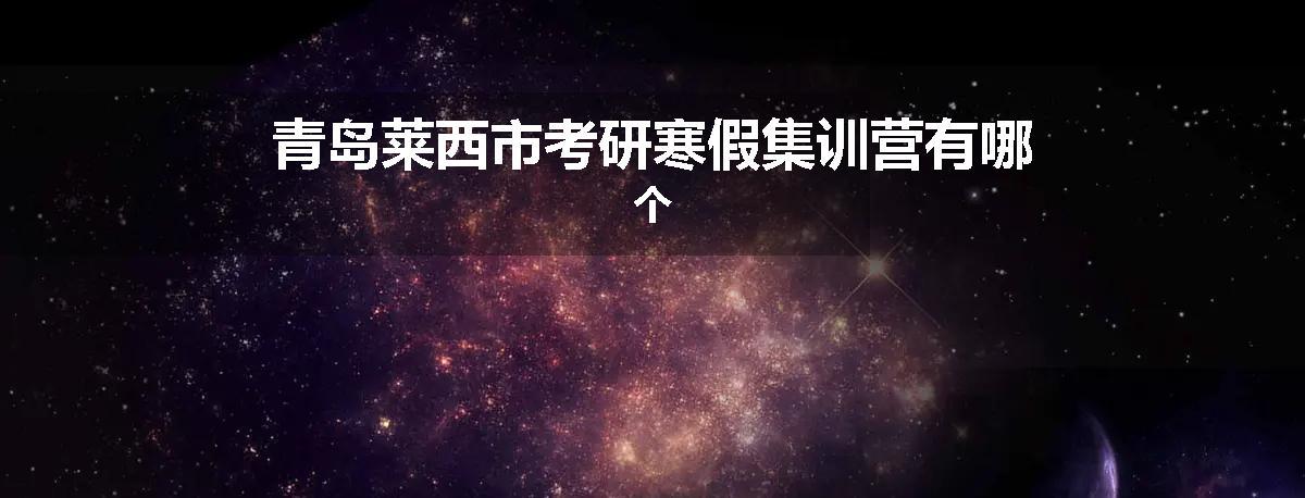 青岛莱西市考研寒假集训营有哪个