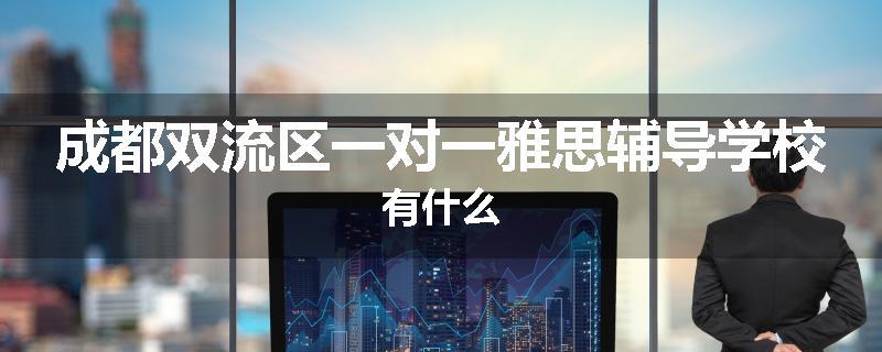 成都双流区一对一雅思辅导学校有什么